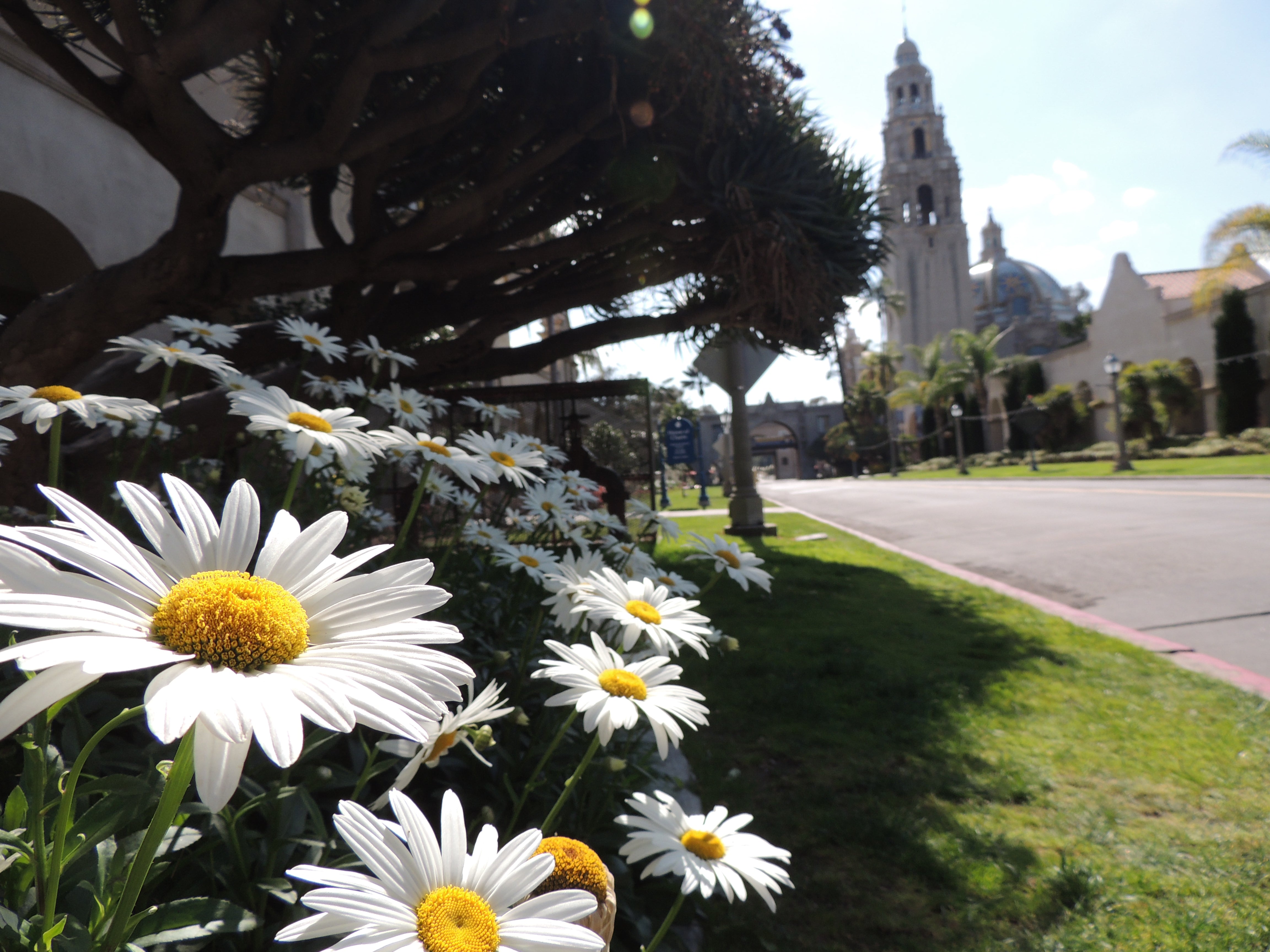 San Diego's Balboa Park Has Many Springtime Attractions